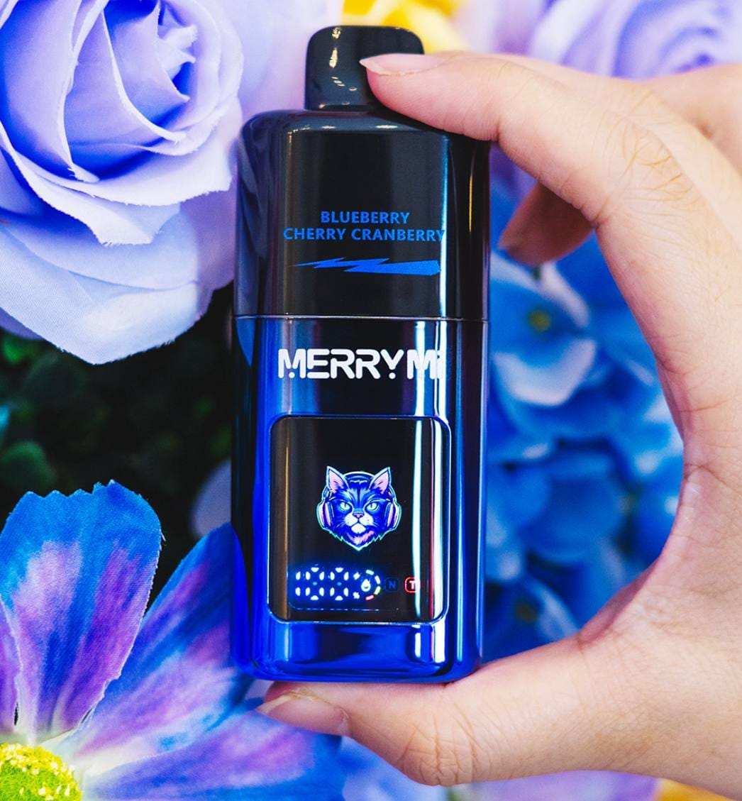 MerryMi Panda 40K Dragonfruit Ice - Premium Disposable Vape